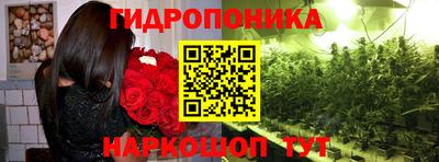 молекула духа Краснознаменск