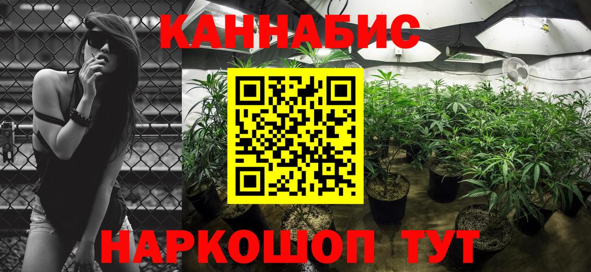 Бошки Шишки Bruce Banner  Бошки Шишки ГИДРОПОН  Истра  Марихуана VHQ  Вход с VPN 